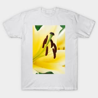 Lilium  'Yellow Rocket'  Oriental Lily T-Shirt